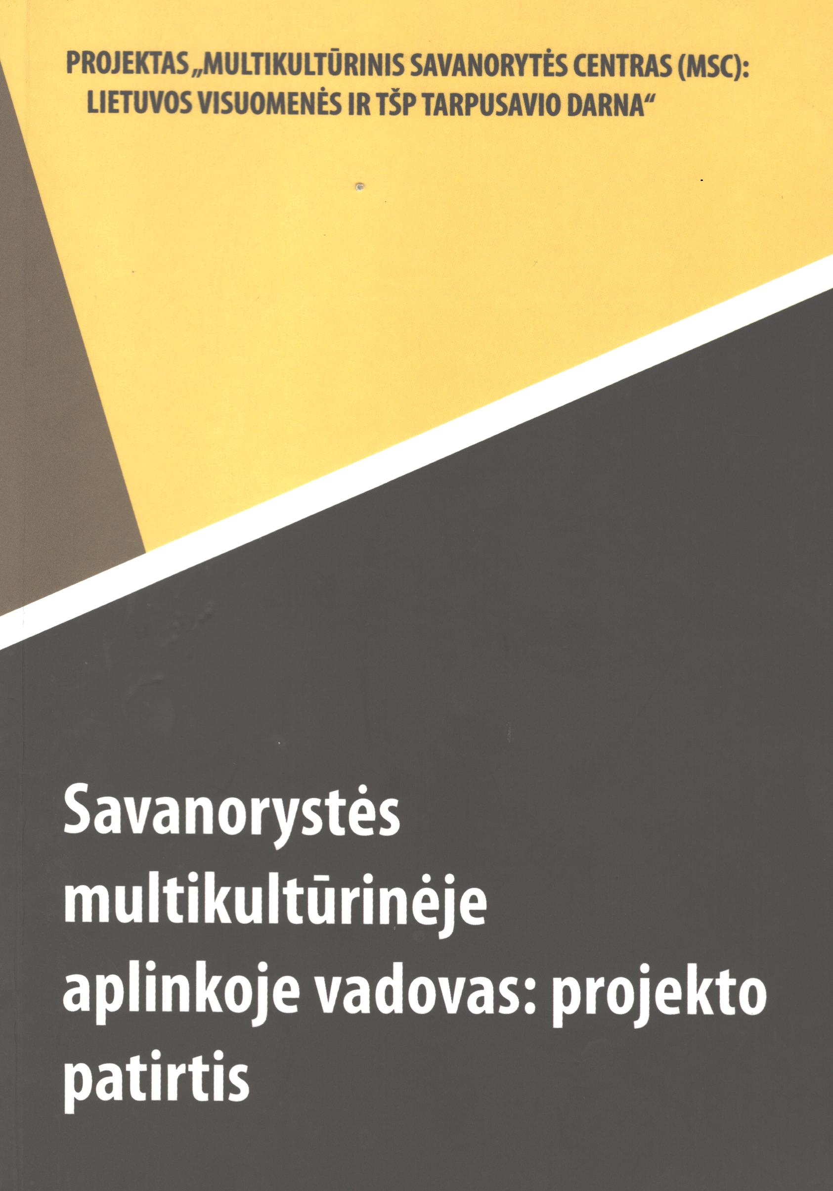 Savanorystės multikultūrinėje aplinkoje vadovas: projekto patirtis